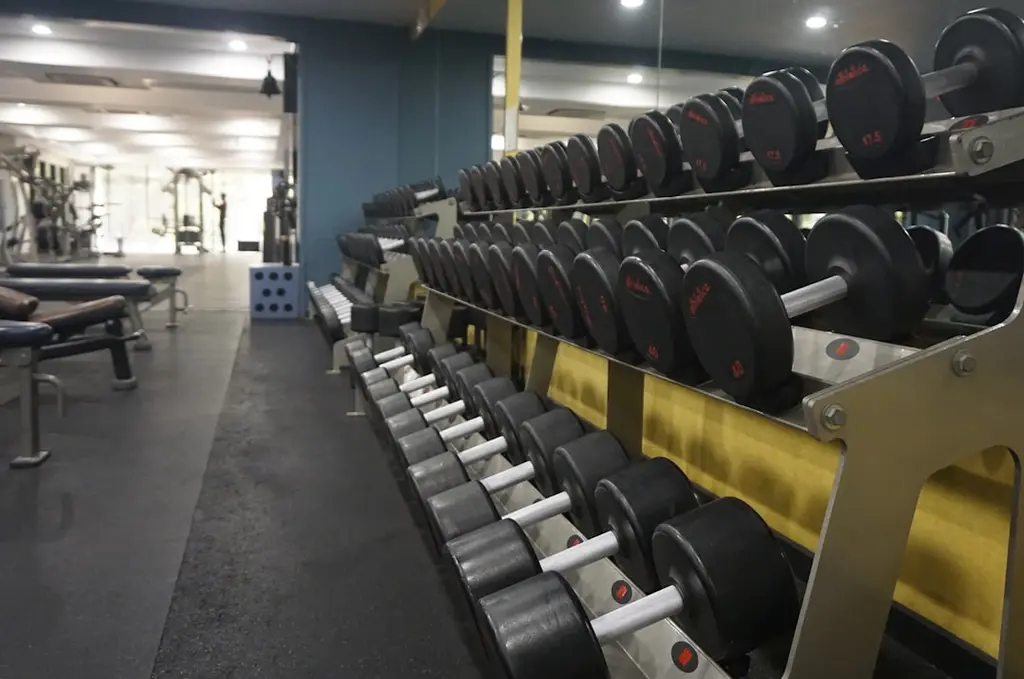 Qué saber sobre Gimnasio y centro fitness